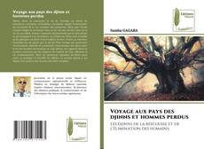 Capa do livro de Voyage aux pays des djinns et hommes perdus 