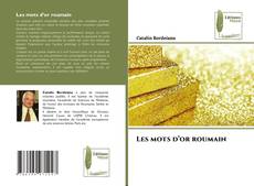 Capa do livro de Les mots d’or roumain 