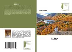Capa do livro de ECHO 