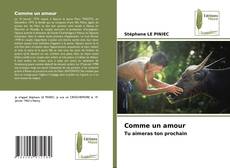 Capa do livro de Comme un amour 