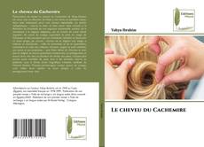 Buchcover von Le cheveu du Cachemire