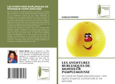 LES AVENTURES BURLESQUES DE MONSIEUR PAMPLEMOUSSE的封面