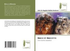 Brice et Bricette kitap kapağı