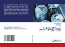 Copertina di The Brilliant Future of Lithium in Energy Storage