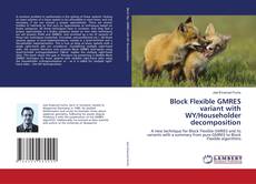 Copertina di Block Flexible GMRES variant with WY/Householder decomposition
