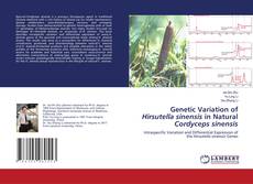 Copertina di Genetic Variation of Hirsutella sinensis in Natural Cordyceps sinensis