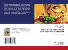 Copertina di Mining Association Rules from Incremental Data set