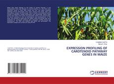 Copertina di EXPRESSION PROFILING OF CAROTENOID PATHWAY GENES IN MAIZE