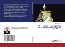 Copertina di The lexicon of the epic "Sly Princess" ("Malikayi Ayyar")