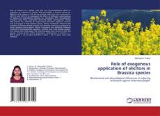 Copertina di Role of exogenous application of elicitors in Brassica species