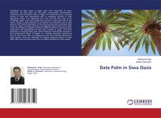 Copertina di Date Palm in Siwa Oasis