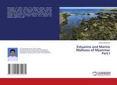 Copertina di Estuarine and Marine Molluscs of Myanmar Part I