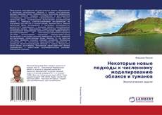 Copertina di Некоторые новые подходы к численному моделированию облаков и туманов