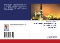 Copertina di Sustainable development of thermal energetic enterprises
