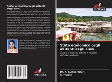 Couverture de Stato economico degli abitanti degli slum