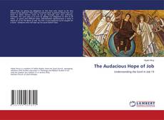 Copertina di The Audacious Hope of Job