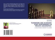 Copertina di TEAMWORK AND ACADEMIC STAFF PERFORMANCE IN PRIVATE UNIVERSITIES