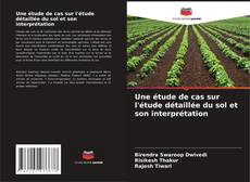 Couverture de Une étude de cas sur l'étude détaillée du sol et son interprétation