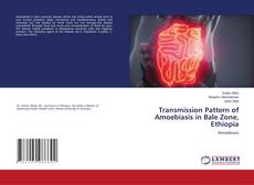 Buchcover von Transmission Pattern of Amoebiasis in Bale Zone, Ethiopia