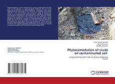 Copertina di Phytoremedation of crude oil contaminated soil