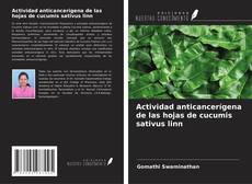 Bookcover of Actividad anticancerígena de las hojas de cucumis sativus linn