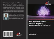 Обложка Biorisanamento dei metalli pesanti: partecipazione batterica