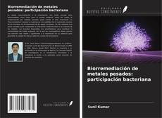 Capa do livro de Biorremediación de metales pesados: participación bacteriana 