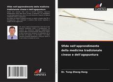Обложка Sfide nell'apprendimento della medicina tradizionale cinese e dell'agopuntura