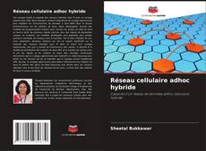 Borítókép a  Réseau cellulaire adhoc hybride - hoz