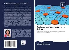 Buchcover von Гибридная сотовая сеть Adhoc