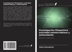 Обложка Investigación fitoquímica actividad antimicrobiana y antioxidante