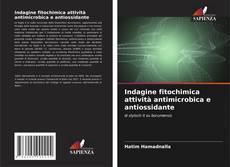 Couverture de Indagine fitochimica attività antimicrobica e antiossidante