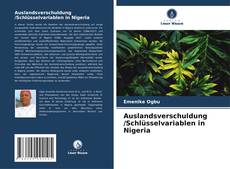 Auslandsverschuldung /Schlüsselvariablen in Nigeria的封面