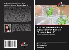 Bookcover of Coltura meristematica della cultivar di melo 'Oregon Spur-II'