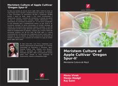 Buchcover von Meristem Culture of Apple Cultivar 'Oregon Spur-II'