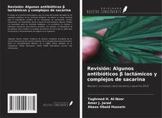 Buchcover von Revisión: Algunos antibióticos β lactámicos y complejos de sacarina
