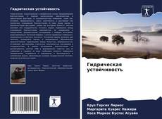 Bookcover of Гидрическая устойчивость