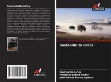 Buchcover von Sostenibilità idrica