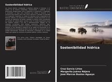 Buchcover von Sostenibilidad hídrica
