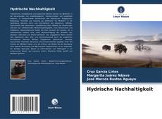 Buchcover von Hydrische Nachhaltigkeit