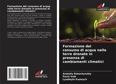 Bookcover of Formazione del consumo di acqua nelle terre drenate in presenza di cambiamenti climatici