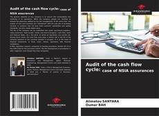 Buchcover von Audit of the cash flow cycle: case of NSIA assurances
