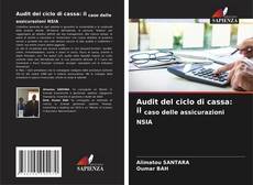 Buchcover von Audit del ciclo di cassa: il caso delle assicurazioni NSIA