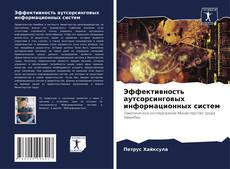 Bookcover of Эффективность аутсорсинговых информационных систем
