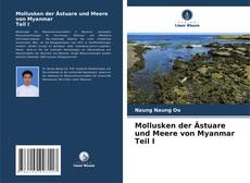 Mollusken der Ästuare und Meere von Myanmar Teil I kitap kapağı