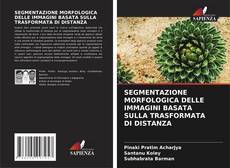 Buchcover von SEGMENTAZIONE MORFOLOGICA DELLE IMMAGINI BASATA SULLA TRASFORMATA DI DISTANZA