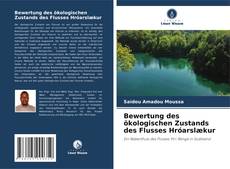 Buchcover von Bewertung des ökologischen Zustands des Flusses Hróarslækur