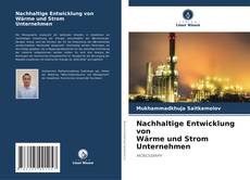 Buchcover von Nachhaltige Entwicklung von Wärme und Strom Unternehmen