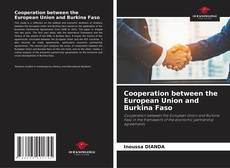 Cooperation between the European Union and Burkina Faso kitap kapağı