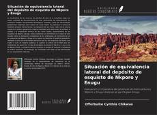 Bookcover of Situación de equivalencia lateral del depósito de esquisto de Nkporo y Enugu